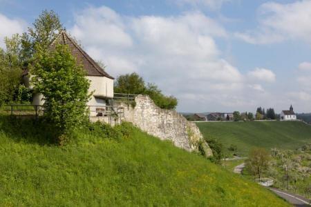 Wallanlage Rheinau