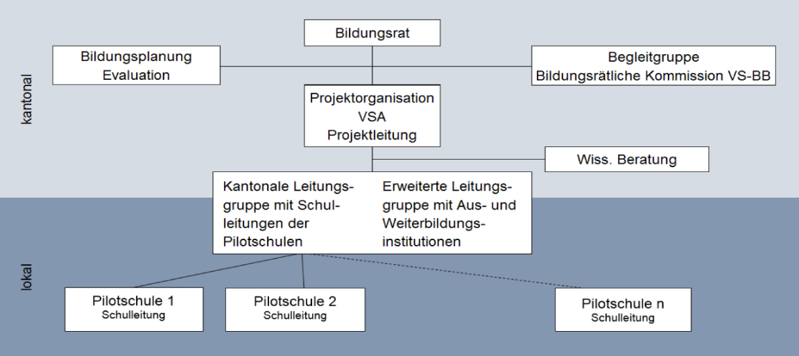 Projektorganisation