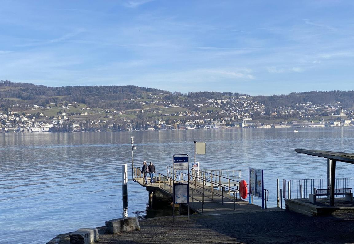 Im Vordergrund ist ein Schiffsanlegesteg, im Hintergrund der Zürichsee und das gegenüberliegenden Ufer..