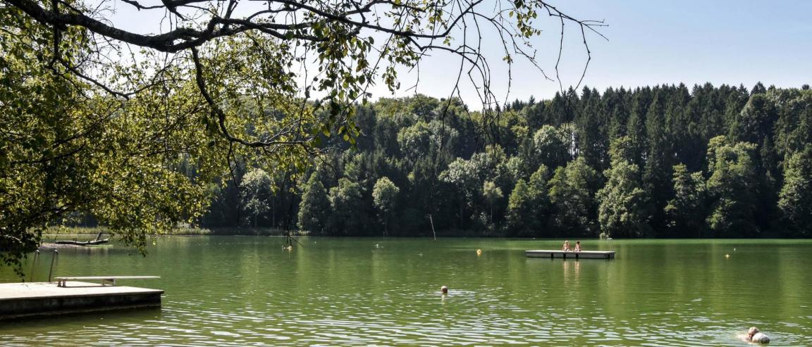 Ein See, umrahmt von Bäumen, in dem Badende den Sommer geniessen