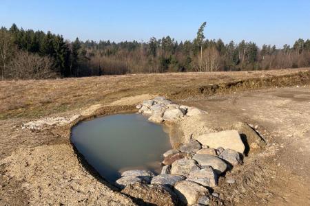 künstlich angelegter Weiher