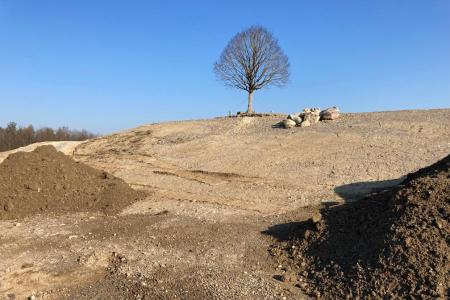 Einzelne Linde steht auf einer Anhöhe umgeben von Sand, Kies und Mergel