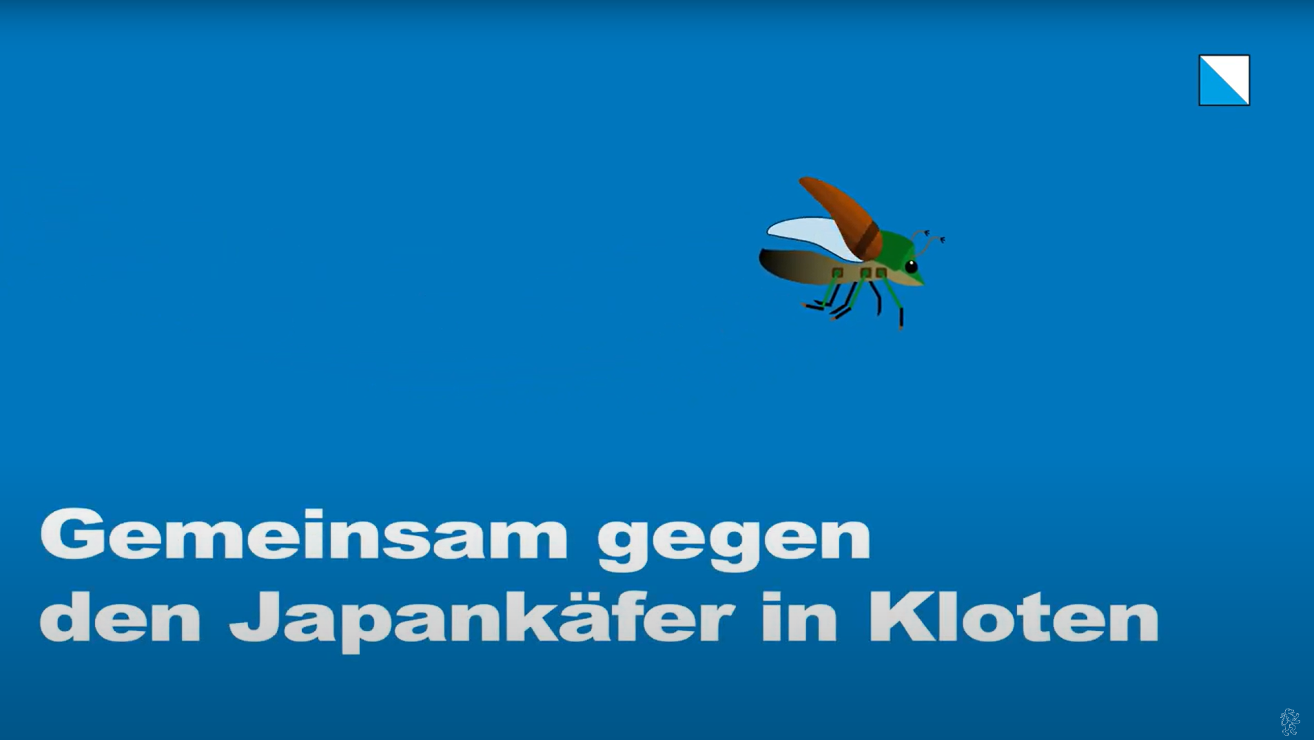 ein stilisierter Japankäfer fliegt auf einem blauen Hintergrund durch das Bild, darunter steht «Gemeinsam gegen den Japankäfer in Kloten»