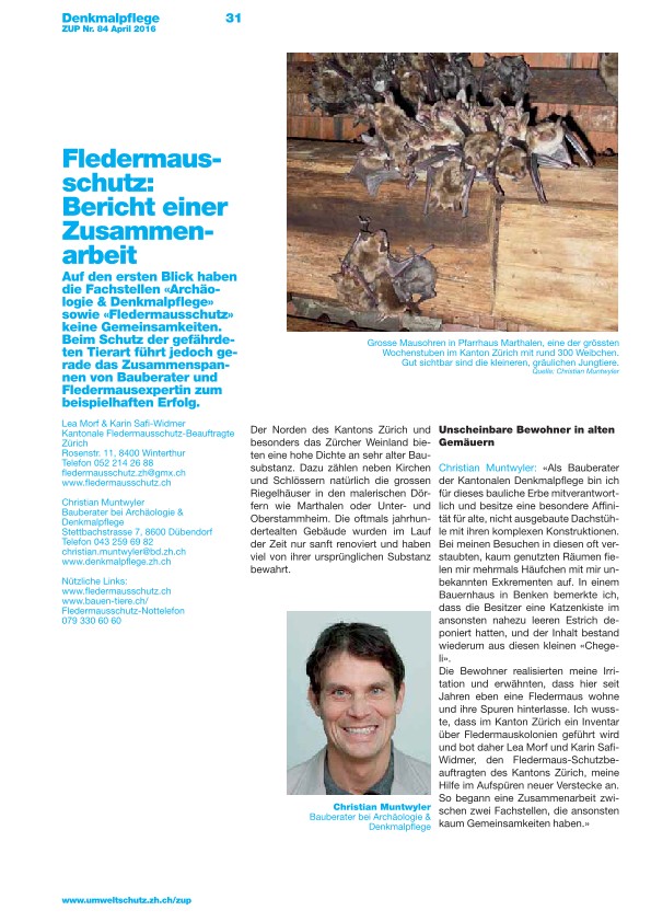 Zürcher Umweltpraxis 84: Fledermausschutz: Bericht einer Zusammenarbeit