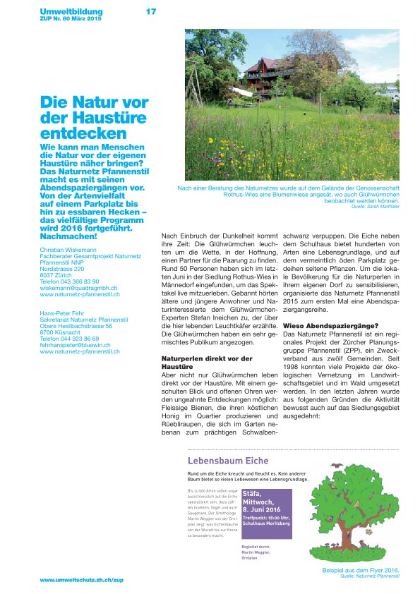 Zürcher Umweltpraxis 84: Die Natur vor der Haustüre entdecken: Selber erleben begeistert