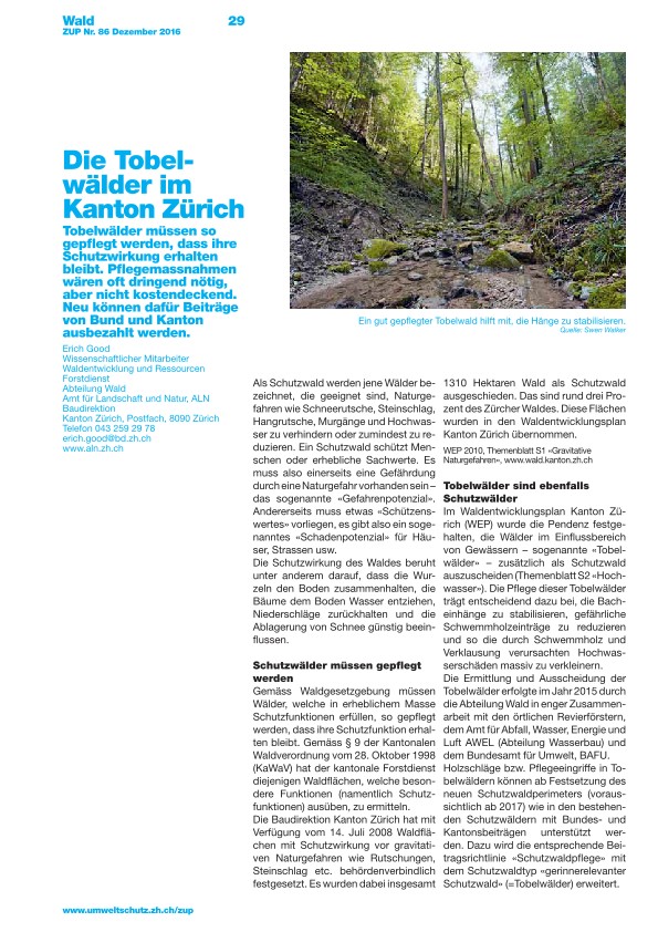 Zürcher Umweltpraxis 86: Die Tobelwälder im Kanton Zürich