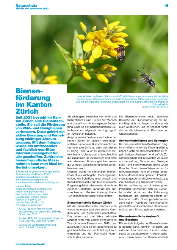   Zürcher Umweltpraxis und Raumentwicklung 104: Bienenförderung im Kanton Zürich