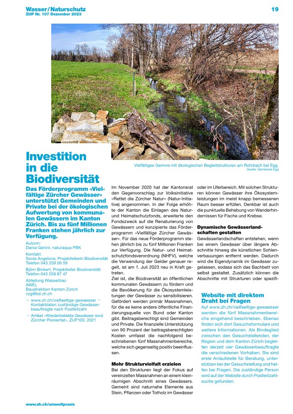 Zürcher Umweltpraxis und Raumentwicklung 107: Investition für mehr Biodiversität an den Gewässern