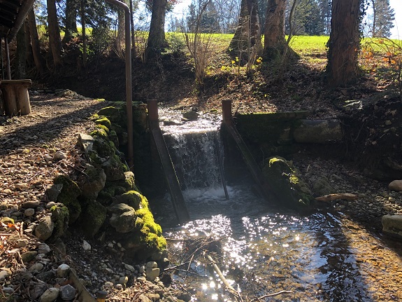 Waldbach im Sonnenlicht